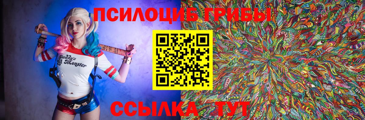 Галлюциногенные грибы Psilocybe  Вход с VPN  Каменск-Шахтинский 