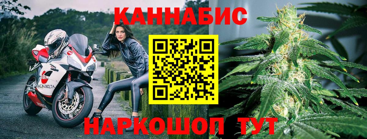 Канабис сатива Каменск-Шахтинский